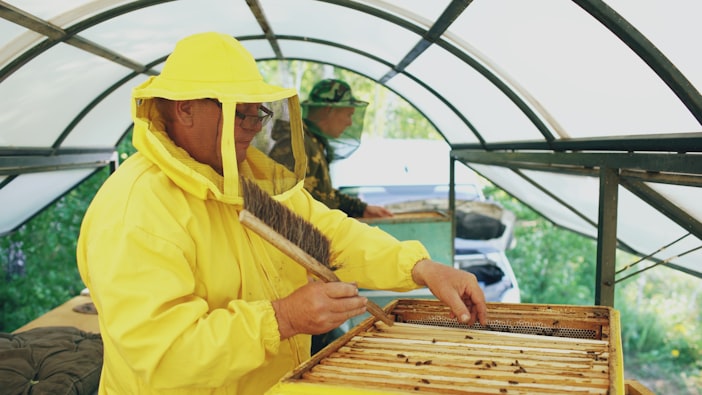 Bee Suits: The Evolution of Protective Equipment