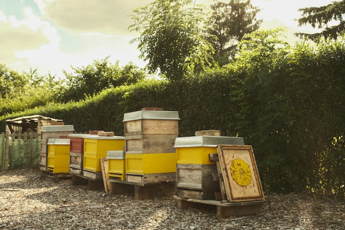 Commercial Beekeeping: The Business Economics