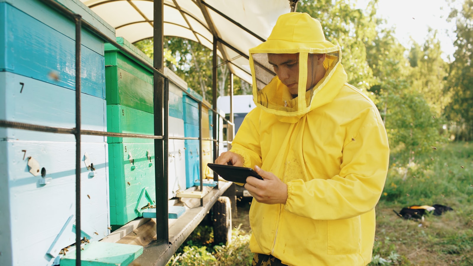 Why Half of First-Year Beekeepers Quit