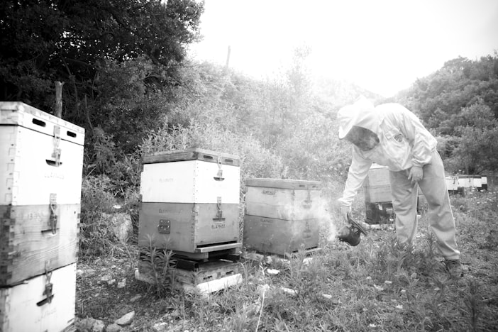 History of Beekeeping in America