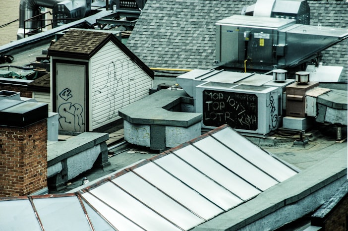 Urban Beekeeping: Rooftop Hives and City Bees